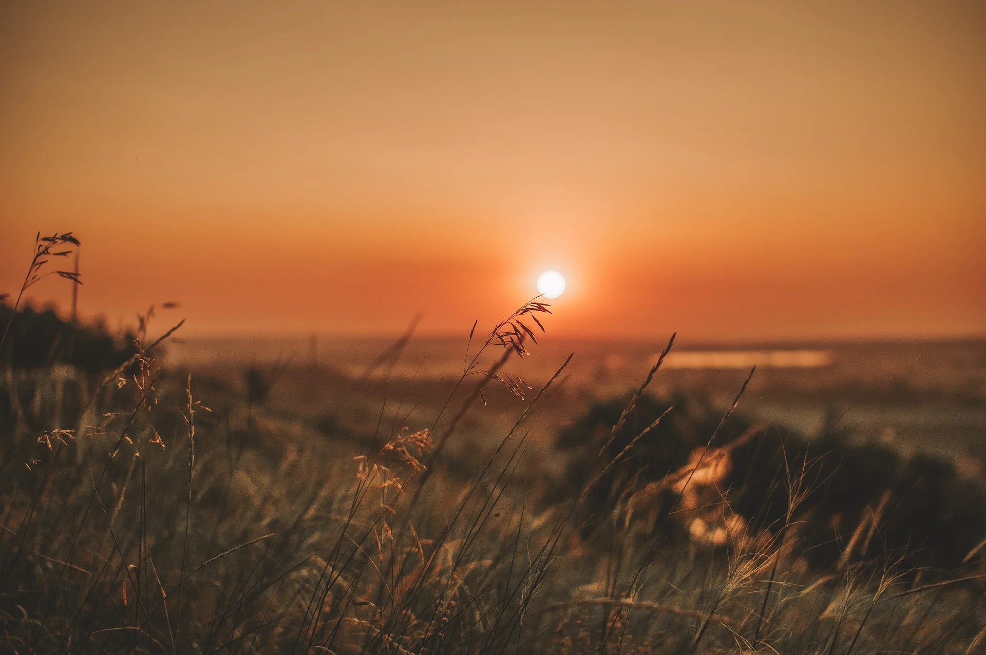 Calor extremo vai atingir o Alentejo, com temperaturas acima dos 40 graus
