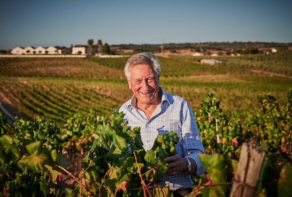 Quinta do Zambujeiro: Um destino de eleição perto de Borba