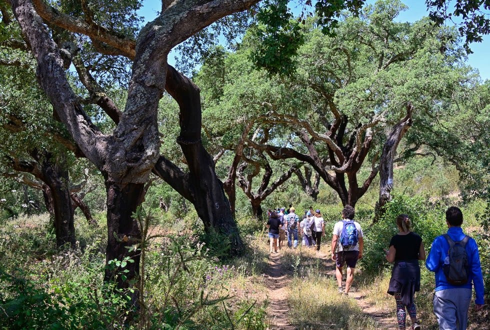 Anos “dourados” do turismo no Alentejo: em 2024 abriram 36 hotéis