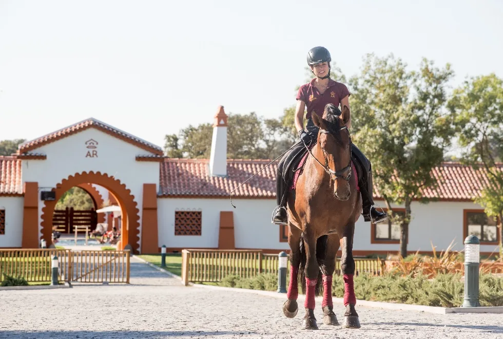 Mais de 90 mil postos de trabalho ligados ao cavalo impulsionam interior