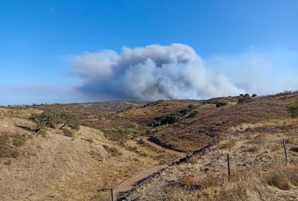 Combate a fogos: Alentejo Litoral com 229 operacionais no terreno