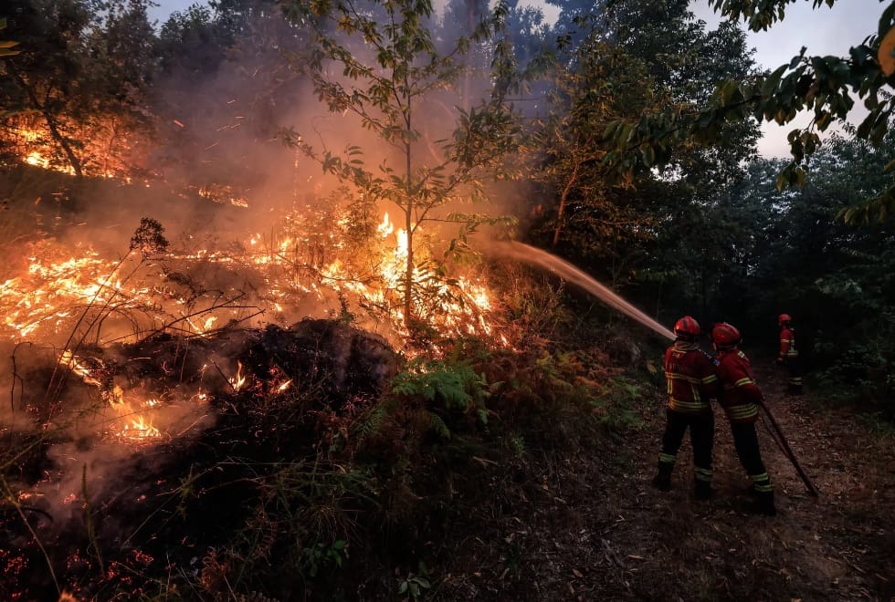 Dominado fogo no concelho de Beja que consumiu mais de 300 hectares