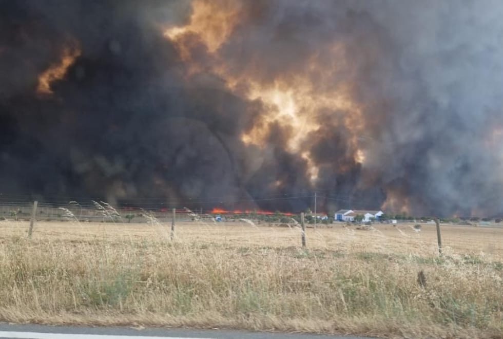 Aljustrel: Vento forte dificulta combate a incêndio e obriga a reposicionar meios