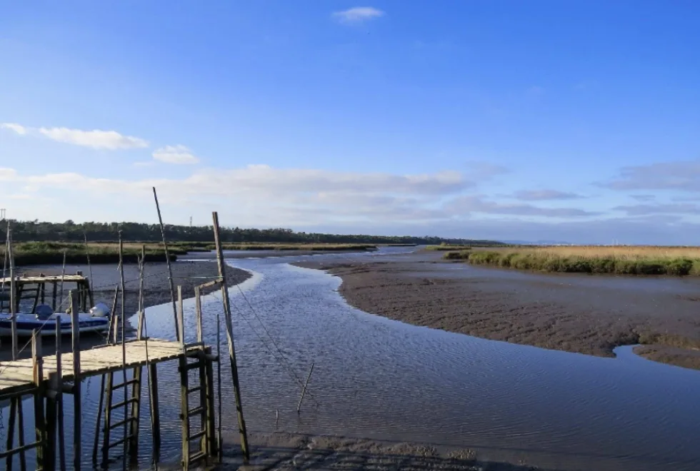Universidade de Évora lidera projeto para monitorizar zonas marinhas