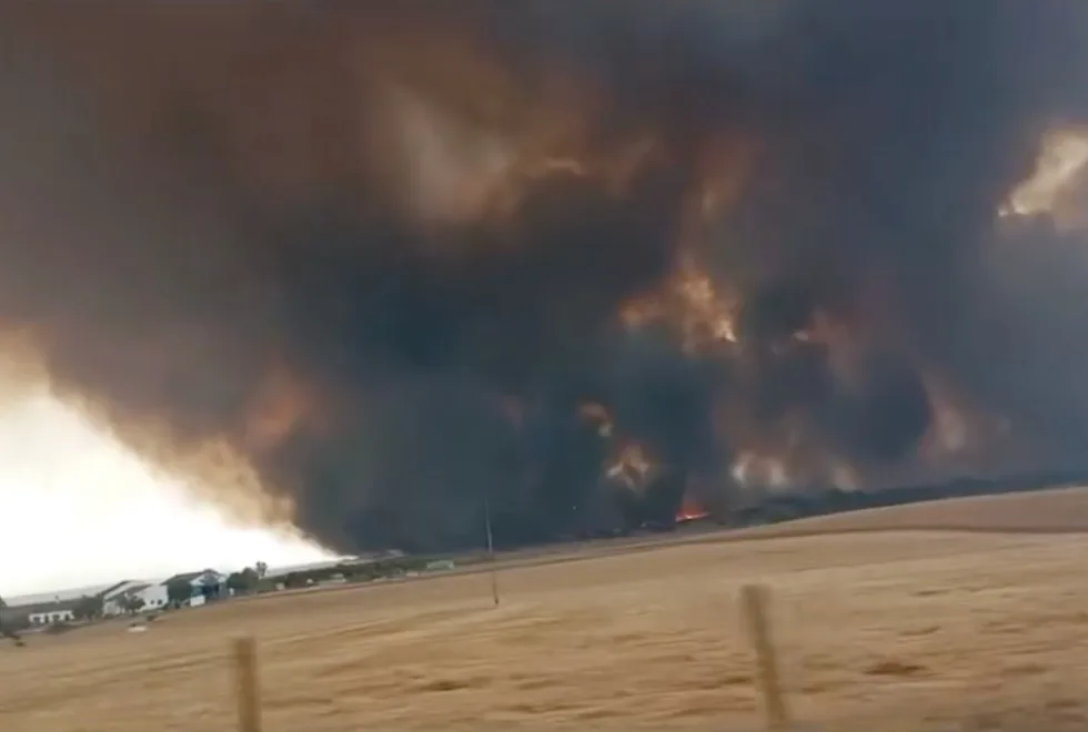 Incêndio em Aljustrel já consumiu mil hectares e mantém duas frentes ativas