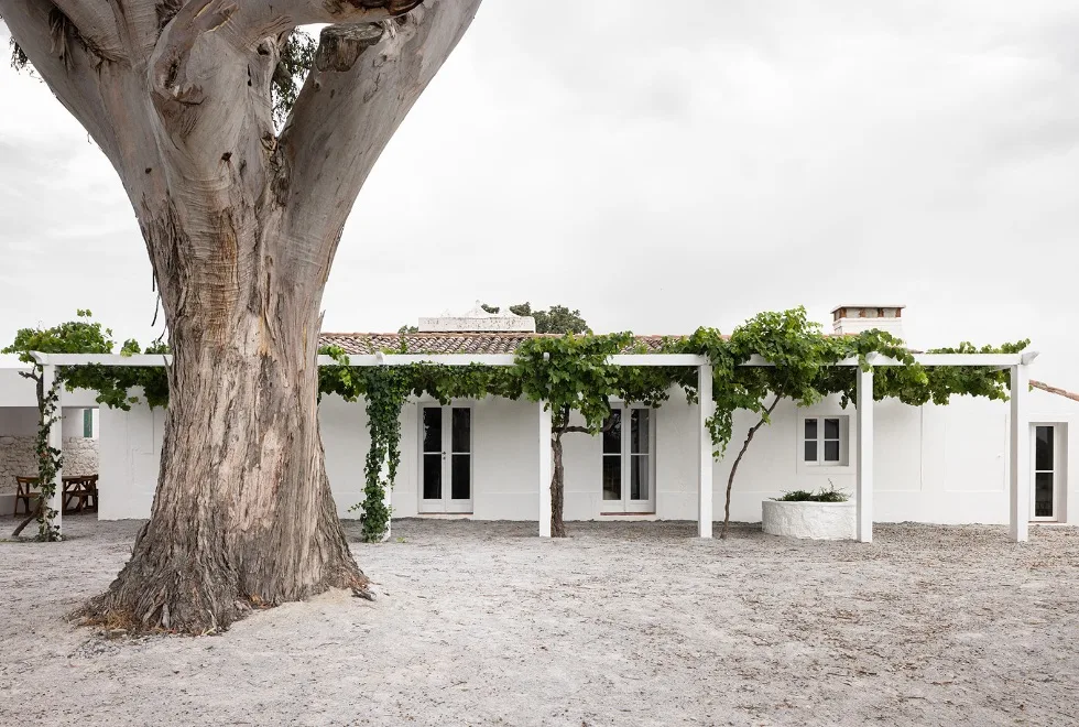 Gonçalo Grácio transforma monte em refúgio turístico premiado no Alto Alentejo