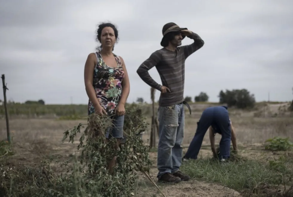 Montemor no roteiro de festival cinema que quer abalar consciências