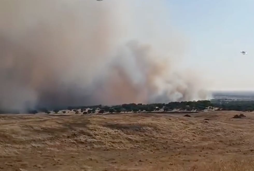 Autoestrada A2 cortada devido a incêndio na zona de Messejana (Aljustrel)