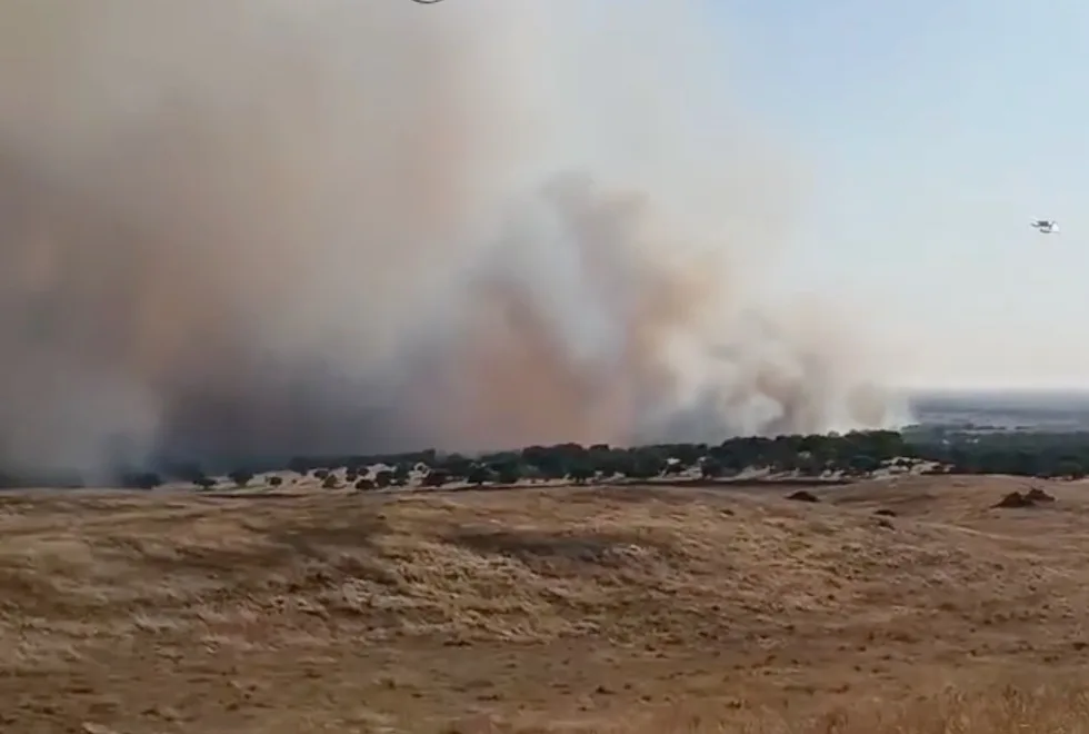 Retomada circulação na A2 cortada devido a incêndio em Messejana (Aljustrel)