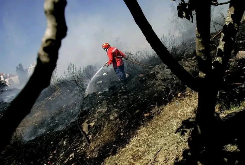 Incêndio em Alandroal em fase de rescaldo, mas com 263 operacionais no terreno
