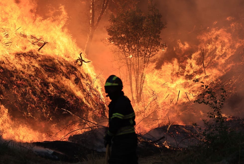 Incêndios: Governo declara situação de alerta a partir deste domingo 