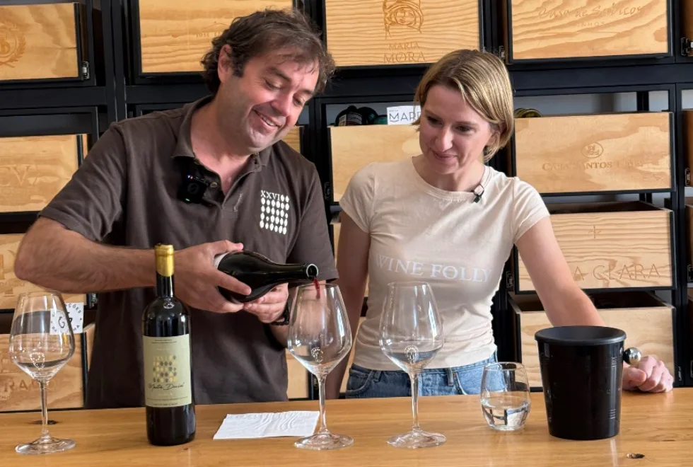 Wine Folly: Alentejo numa viagem entre vinhas, cultura e paisagem (c/ vídeo)