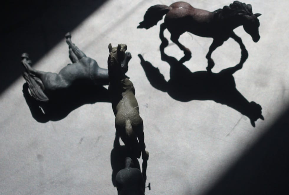 Antestreia de “Bright Horses” marca Projeto Casa em O Espaço do Tempo