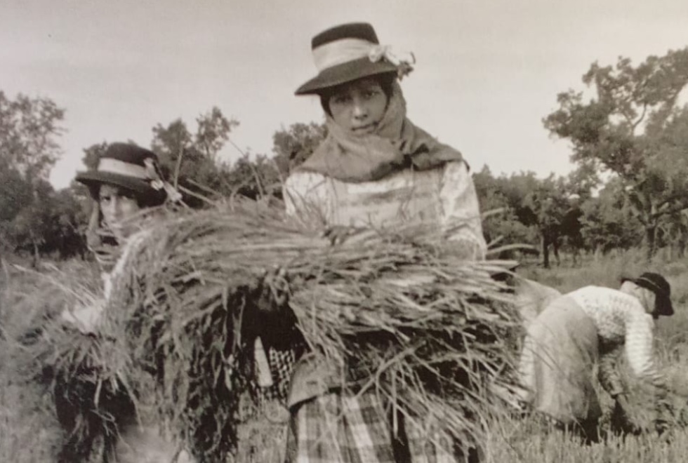 Maria Lamas, um retrato das vivências femininas no Alentejo de há 75 anos